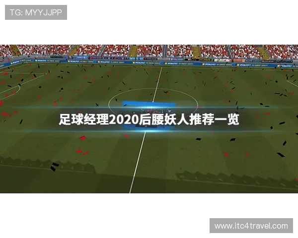 帕利尼亚：从纯破坏型到出球型后腰的数据进化分析